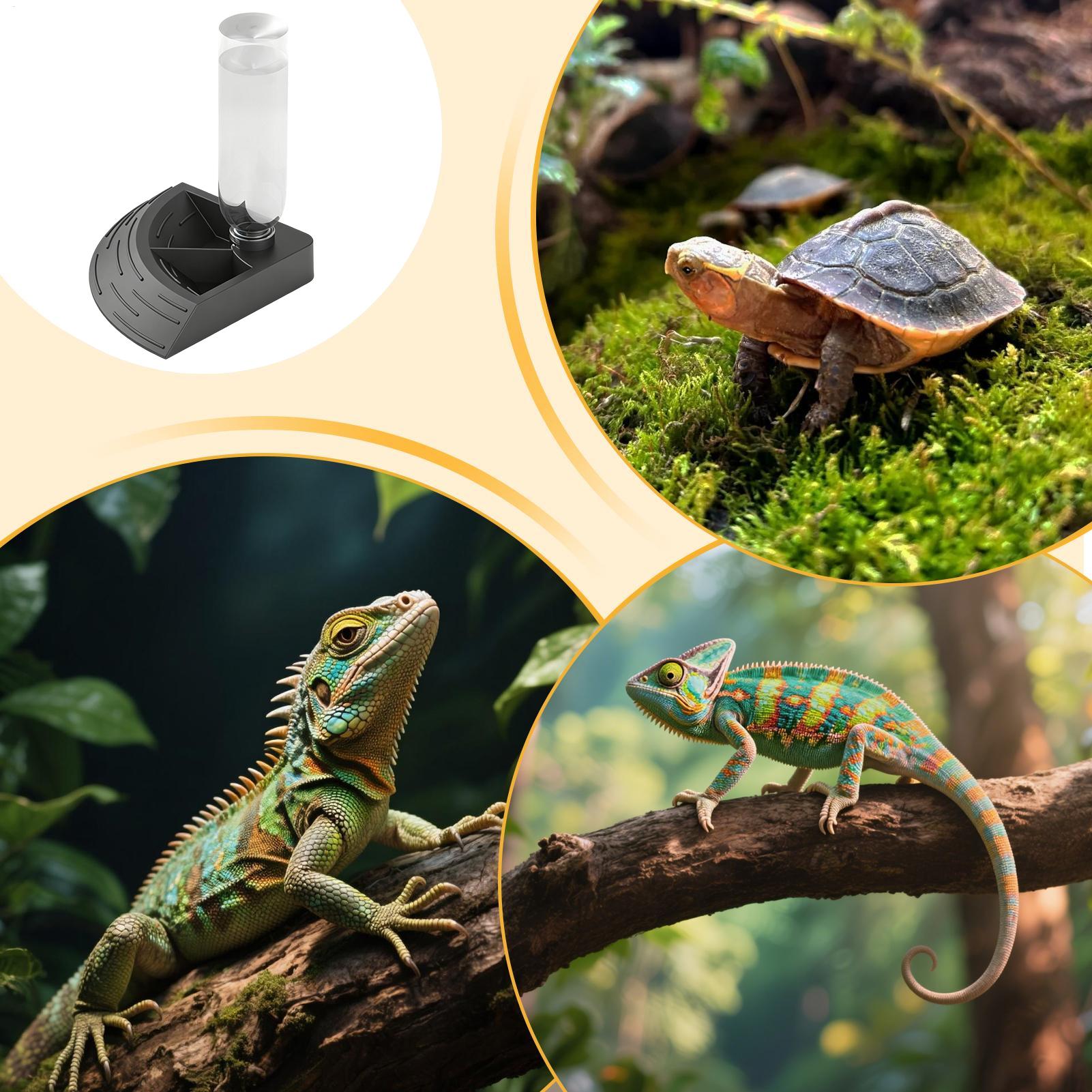 Water Dish Reptile - Sürüngen Su Sebili 2'si 1 Arada