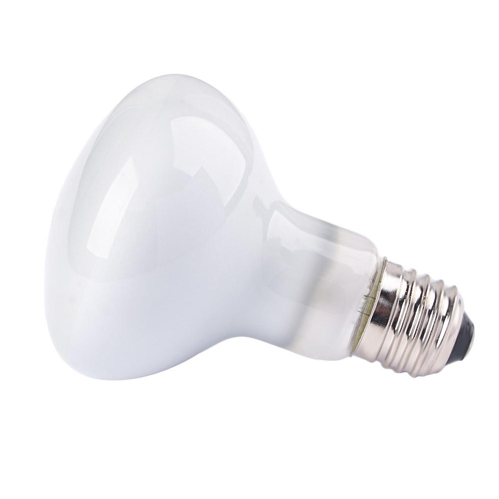 Basking Bulb Halogen - Kertenkele Sıcaklık Kontrol Cihazı Isı Lambası