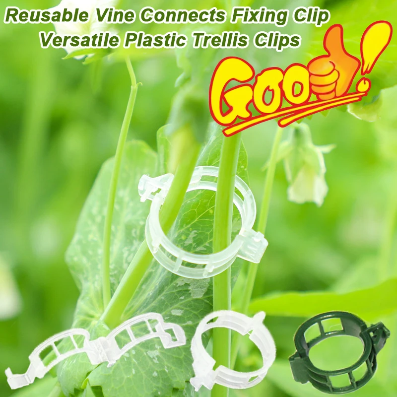Vine Climbing Plastic - Yeniden Kullanılabilir Asma Tırmanma Tesisleri için