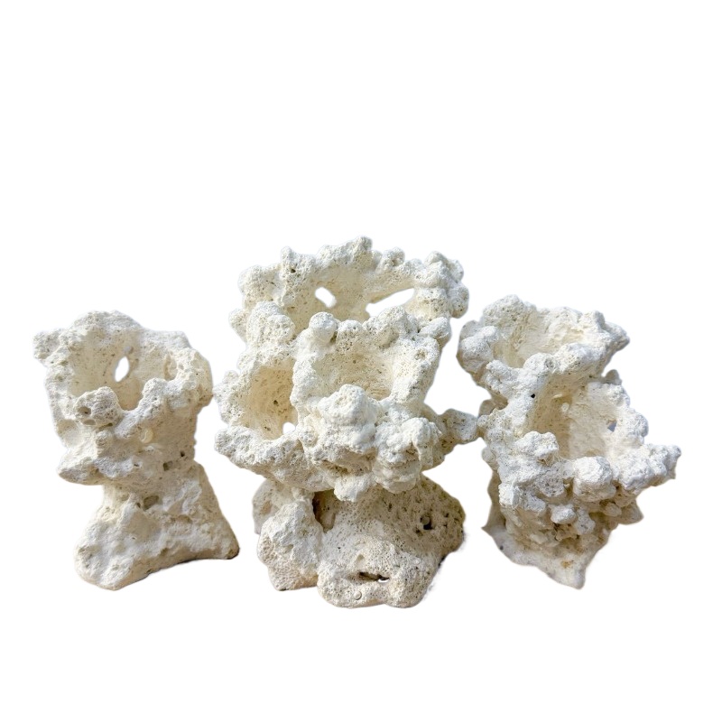 Hide Cave Ceramic - Yapay Seramik Anemon Kaya Tabanı Balık