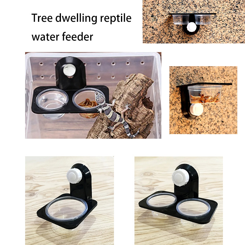 Water Dish Reptile - Sürüngen Tankı Aksesuarları Böcek Örümcek Karıncalar