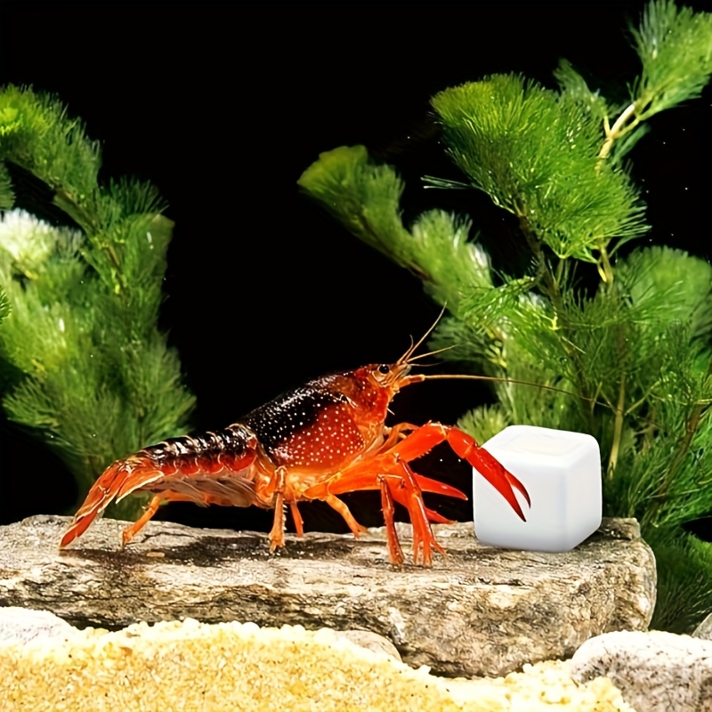 6 adet Sürüngen Taşlama Kaplum - Calcium Powder Reptile incelemesi ve fiyatı