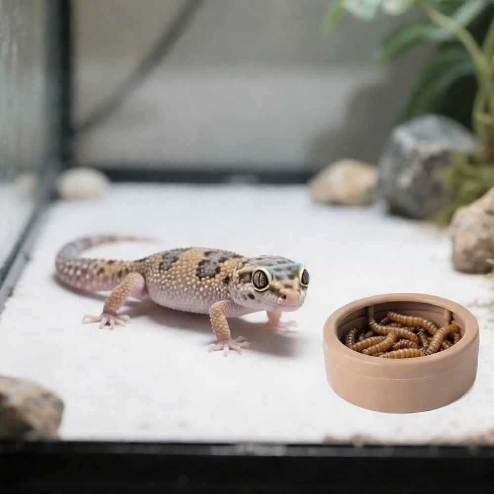 Taşınabilir Kaçışa Dayanıklı S - Water Dish Reptile incelemesi ve fiyatı