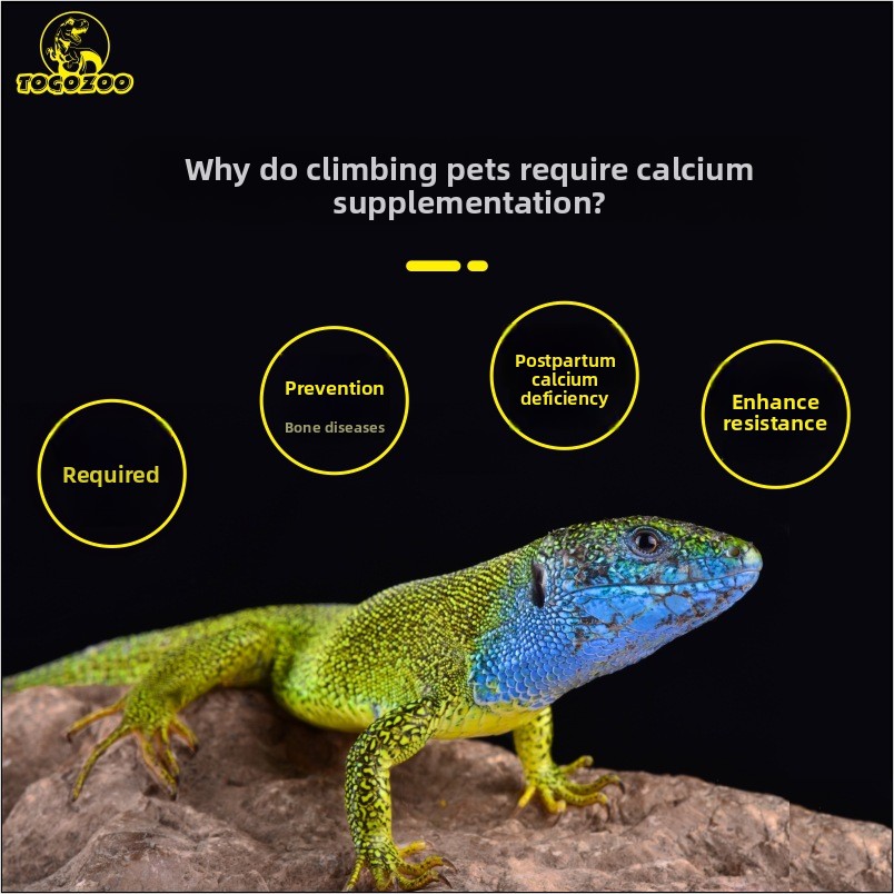 TOGOZOO WILDCAL Sürüngen Kalsi - Calcium Powder Reptile incelemesi ve fiyatı