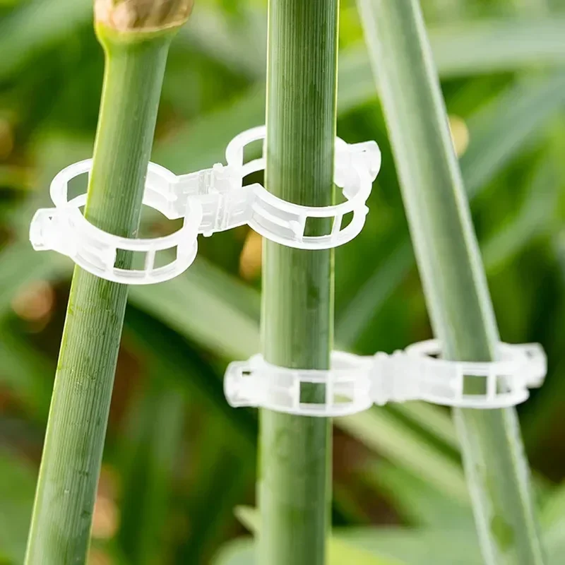 Yeniden Kullanılabilir Asma Tı - Vine Climbing Plastic incelemesi ve fiyatı