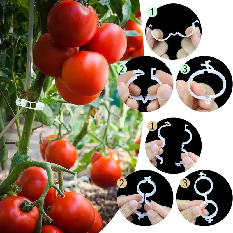 Yeniden Kullanılabilir Asma Tı - Vine Climbing Plastic incelemesi ve fiyatı