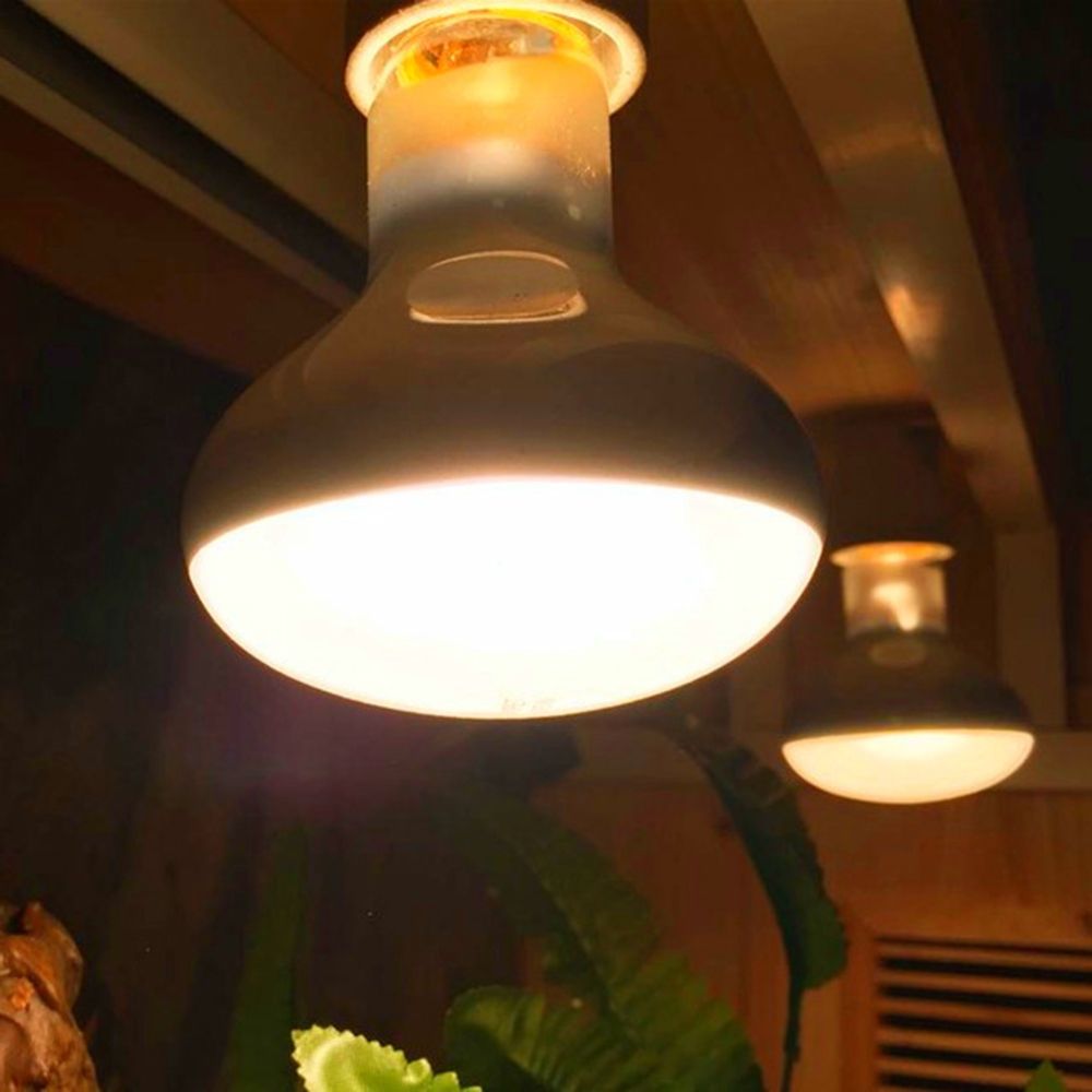 Kaplumbağa Isıtıcı Sıcaklık Ko - Basking Bulb Halogen incelemesi ve fiyatı