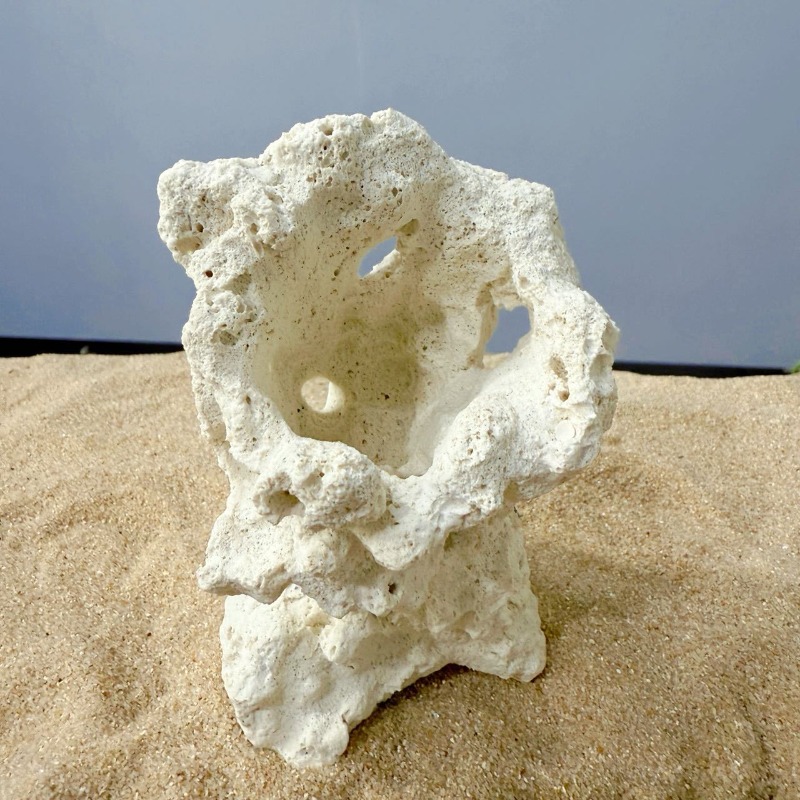 Yapay Seramik Anemon Kaya Taba - Hide Cave Ceramic incelemesi ve fiyatı