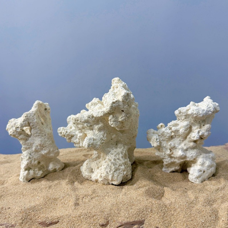 Yapay Seramik Anemon Kaya Taba - Hide Cave Ceramic incelemesi ve fiyatı