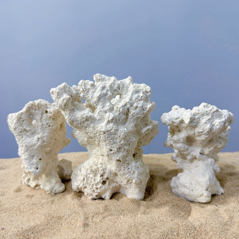 Yapay Seramik Anemon Kaya Taba - Hide Cave Ceramic incelemesi ve fiyatı