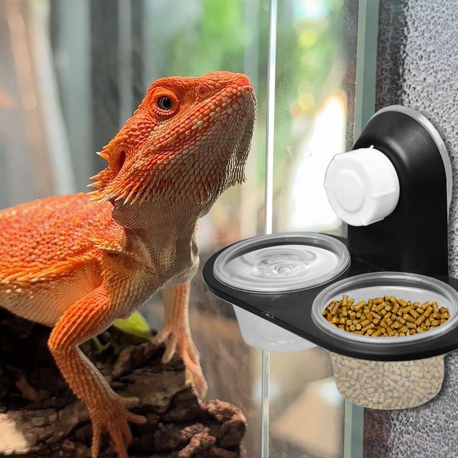 Gecko Mama Kabı Gecko Besleme  - Water Dish Reptile incelemesi ve fiyatı