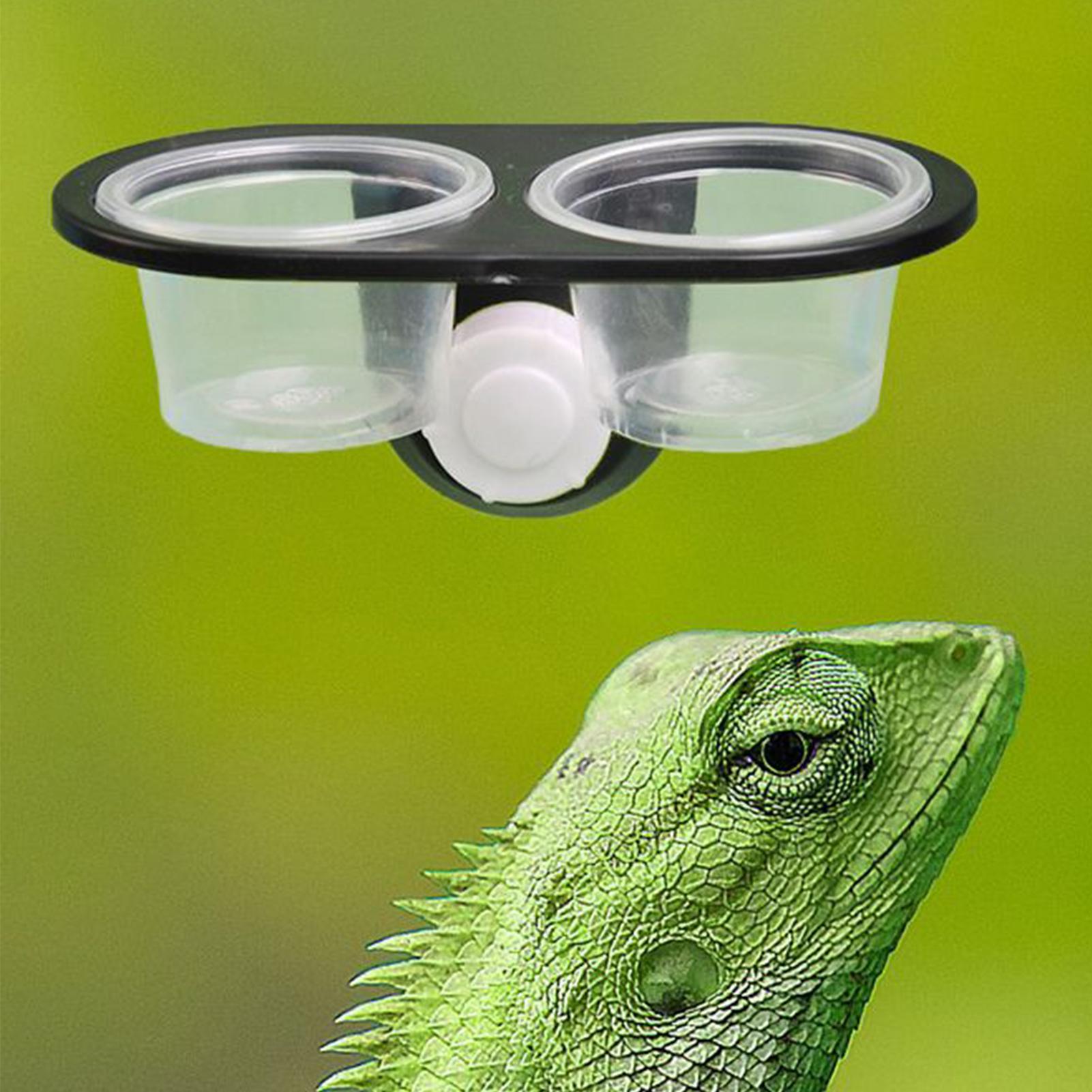 Gecko Mama Kabı Gecko Besleme  - Water Dish Reptile incelemesi ve fiyatı