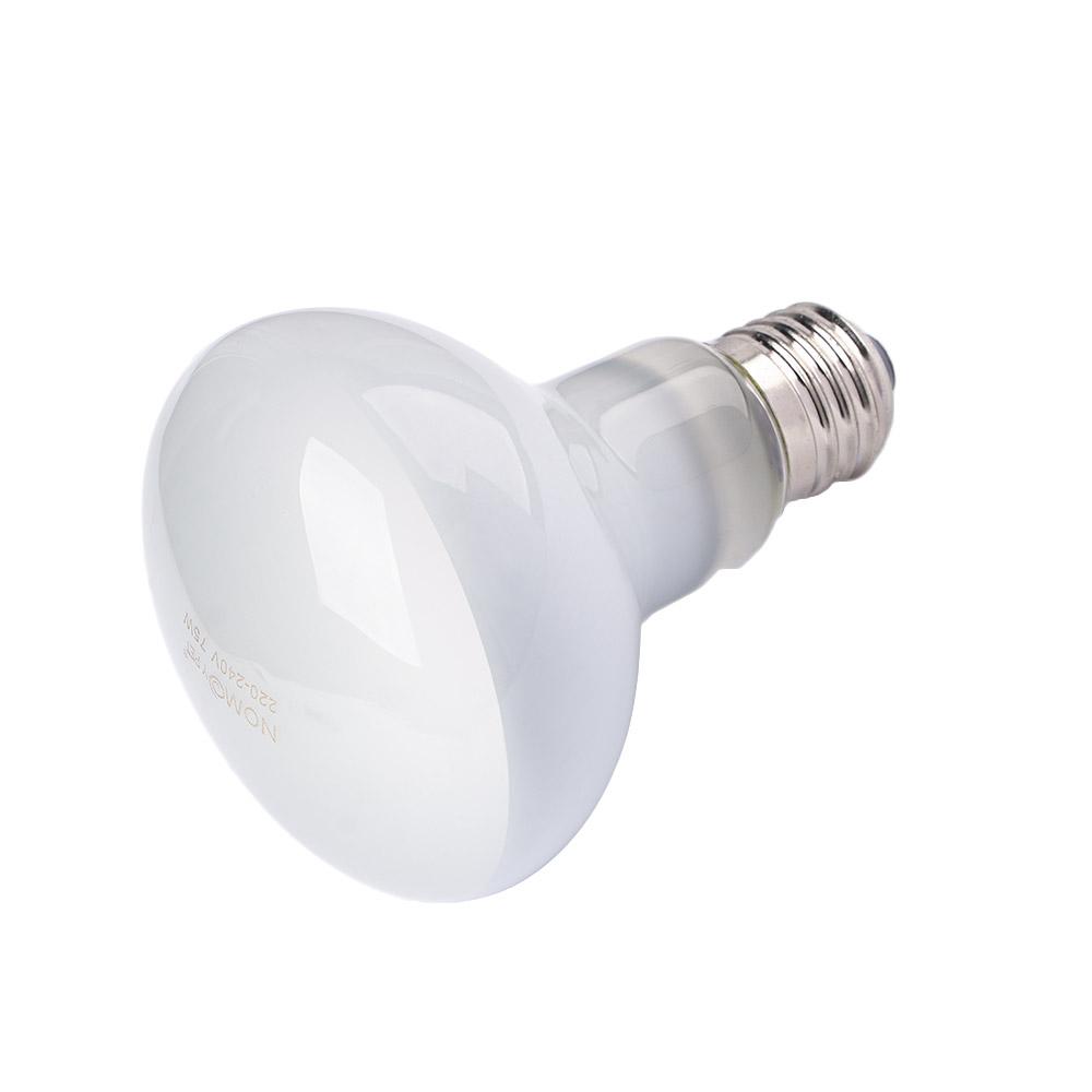Kaplumbağa Isıtıcı Sıcaklık Ko - Basking Bulb Halogen incelemesi ve fiyatı
