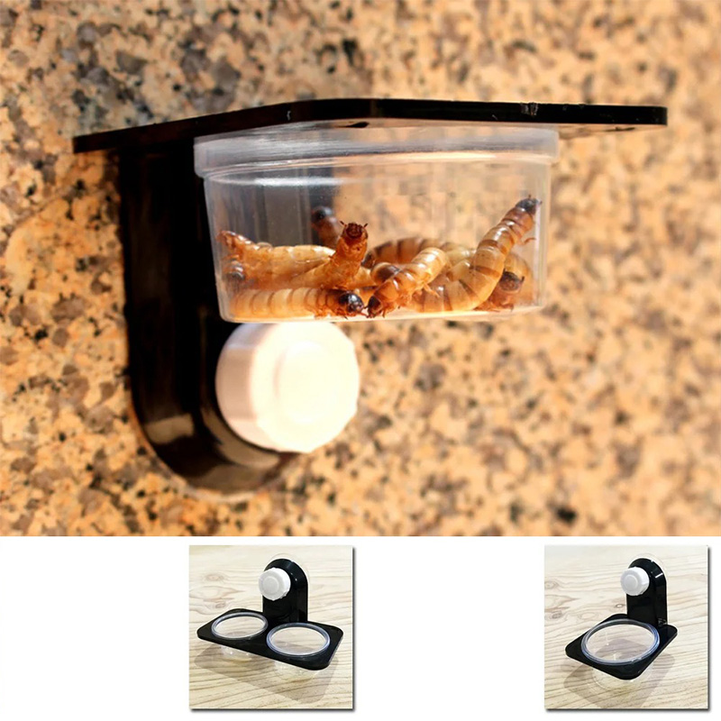 Sürüngen Tankı Aksesuarları Bö - Water Dish Reptile incelemesi ve fiyatı