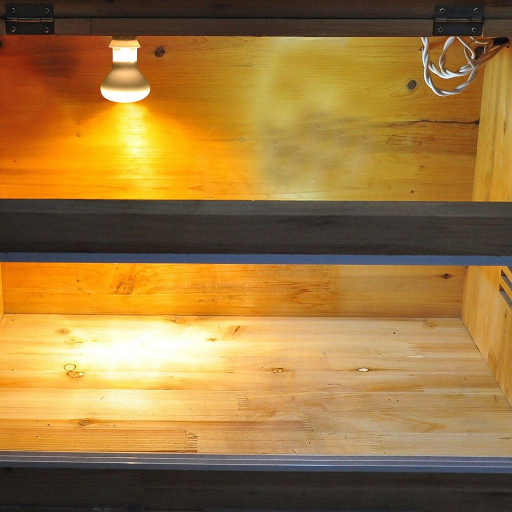 Kurbağa ve Sürüngenler için Is - Basking Bulb Halogen incelemesi ve fiyatı