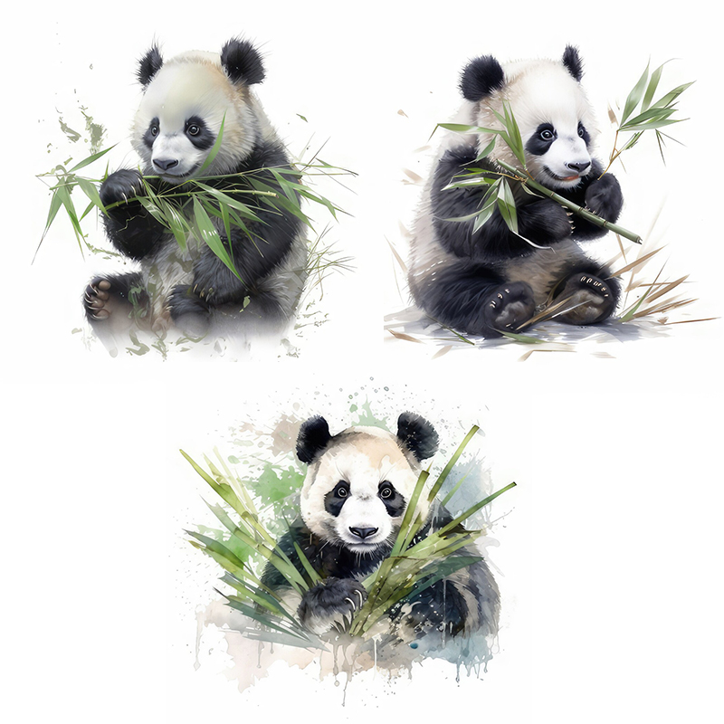 C76 #   Suluboya Panda Duvar Ç - Pvc Panel Background incelemesi ve fiyatı