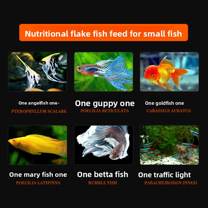 DaJiaWa Spirulina Pul Balık Ye - Tetra Food Goldfish Flakes incelemesi ve fiyatı