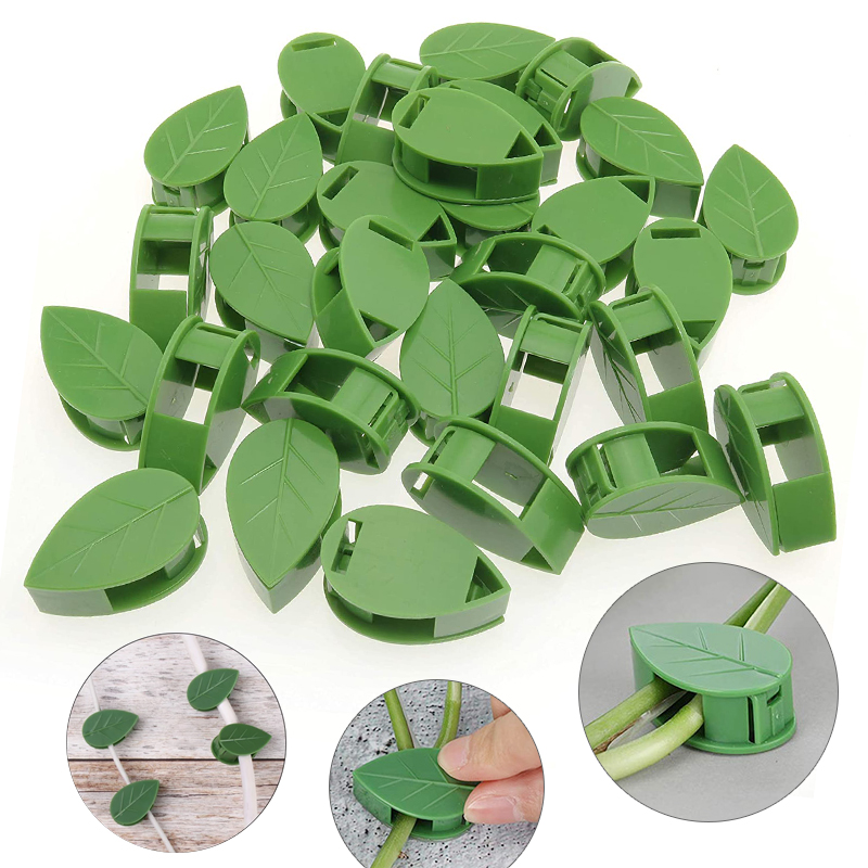 Görünmez Bitki Tırmanma Duvarı - Vine Climbing Plastic incelemesi ve fiyatı