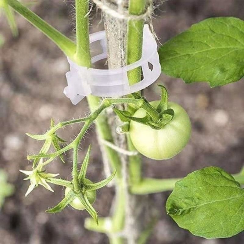 Plastik Bitki Destek Klipsleri - Vine Climbing Plastic incelemesi ve fiyatı