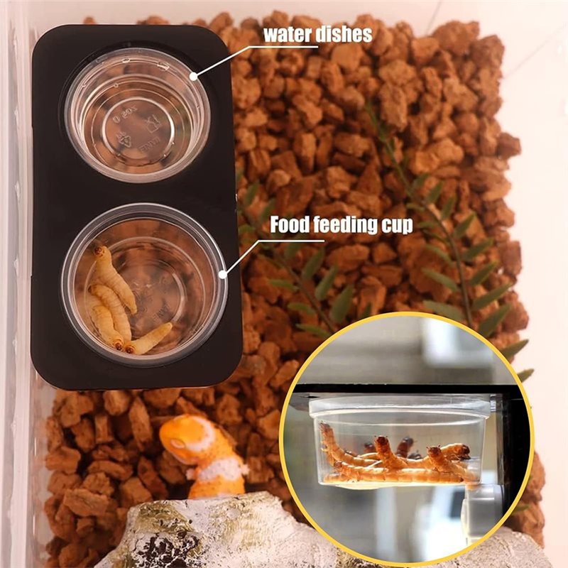 Crested Gecko Mama ve Su Besle - Water Dish Reptile incelemesi ve fiyatı