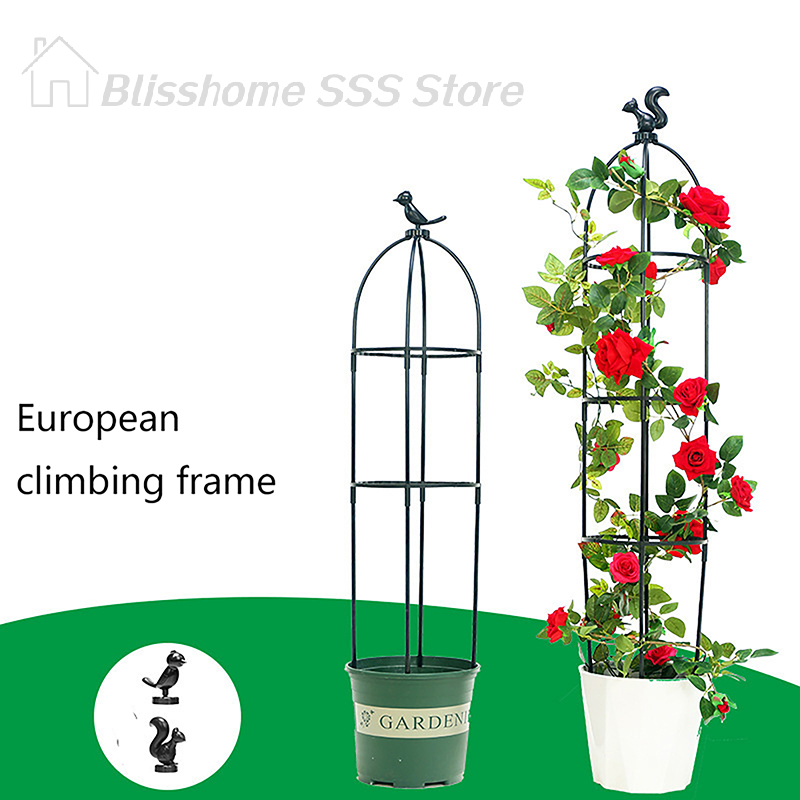 【S】1 takım tırmanma tesisi kaf - Vine Climbing Plastic incelemesi ve fiyatı