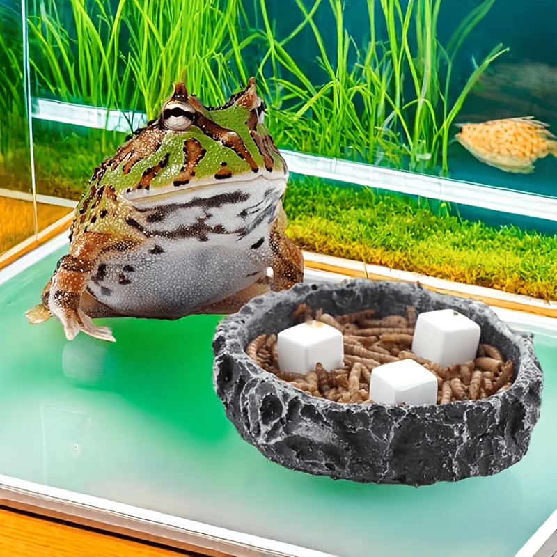 6 Adet Balık Tankı Kalsiyum Bl - Calcium Powder Reptile incelemesi ve fiyatı
